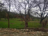 Land for sale in Kakheti, Georgia. Photo 4