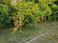 Plot for sale not agricultural purposes in Batumi. Photo 2
