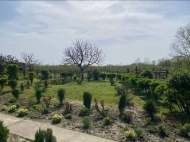 Продается частный дом с земельным участком в Дарчели, Грузия. Ореховый сад. Фото 7