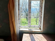 ყიდვა კერძო სახლის მიწის ნაკვეთით ზესტაფონი, საქართველო. ფოტო 6
