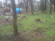 Ground area ( A plot of land ) for sale at the seaside of Shekvetili, Georgia Photo 1