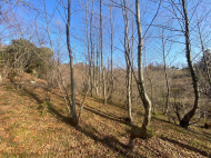 Land parcel, Ground area for sale in the suburbs of Batumi. Akhalsheni. Photo 1