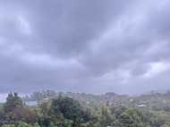 იყიდება კერძო სახლი მიწის ნაკვეთით ციხისძირში, საქართველო. ფოტო 30