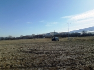 Land parcel, Ground area for sale in Kaspi, Georgia. Photo 1