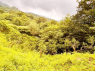 An unfinished house with a plot of land is for sale. Land parcel, Ground area for sale in Sakhalvasho, Green Cape, Georgia. Photo 4