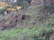 House for sale with a plot of land in Batumi, Georgia. Photo 3