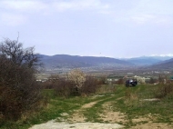 Земельный участок на продажу в Сагурамо, Грузия. Фото 2