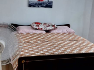 ყიდვა კერძო სახლის მიწის ნაკვეთით ქალაქგარეთ ბათუმში, ახალშენი. მანდარინის ბაღი, ხილის ბაღი.  ფოტო 5