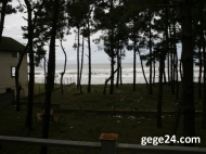 House for sale on the beach Grigoleti, Georgia. Photo 1