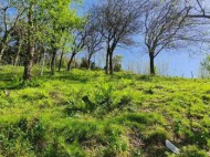 Land parcel, Ground area for sale in the suburbs of Batumi, Urehi. Photo 5