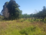 Ground area for sale in Batumi, Georgia. Land with sea and mountains view. Photo 4