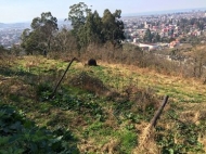Land for sale with beautiful views Photo 2