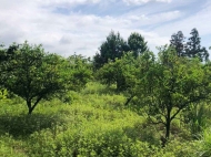 Land parcel, Ground area for sale in Mukhaestate, Georgia. Tangerine garden. Photo 2