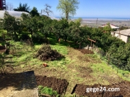 House for sale with a plot of  land and orchard and tangerine garden in Akhalsopeli, Batumi, Georgia. Photo 13