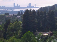 Купить частный дом с земельным участком в пригороде Батуми, Грузия. Вид на море и горы. Фото 36
