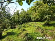 Ground area for sale in Makhindzhauri, Georgia. Land with sea and mountains view. Photo 4