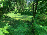 მიწის ნაკვეთი კურორტულ ზონაში ჩაქვში, საჩინო. საქართველო. ფოტო 3 მიწის ნაკვეთი კურორტულ ზონაში ჩაქვში, საჩინო. საქართველო. ფოტო 3