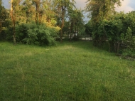 Urgent sale of a house with a plot of land in Ozurgeti, Georgia. Photo 29