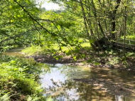 House for sale with a plot of land in the suburbs of Ozurgeti, Georgia. Near the river. Photo 8