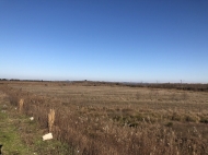 Ground area ( A plot of land ) for sale in Natanebi, Ozurgeti, Georgia.  Land with mountains view.     Photo 6