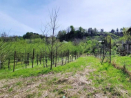 House for sale with a plot of land in the suburbs of Ozurgeti, Georgia. Photo 2