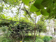 House for sale with a plot of land in the suburbs of Ozurgeti, Georgia. Orchard. Walnut garden. Near the river. Photo 21