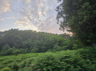 Продается земельный участок в пригороде Батуми, Ортабатуми. У реки. Фото 2