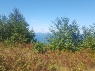 Земельный участок на продажу в Батуми. Участок с видом на море и горы в Батуми, Грузия. Фото 5