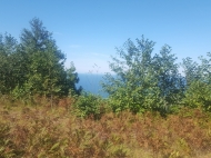 Land parcel for sale in Batumi, Georgia. Land with sea and mountains view. Photo 5