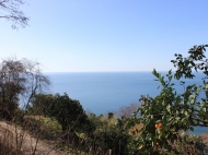 Участок с видом на море в Квариати, Грузия. Фото 2
