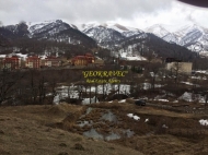 Участок в Бакуриани, горнолыжный курорт Грузии. Фото 3