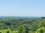 Продается частный дом с земельным участком в Натанеби. Купить дом в курортном районе Натанеби, Грузия. Фото 3