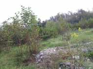 Продается земельный участок в Абаше, Самегрело, Грузия. Фото 11