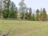 Land parcel, Ground area for sale in the suburbs of Batumi, Georgia. Photo 1