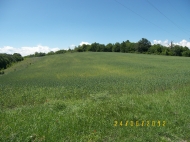 Sold a ready farm with a plot of 15 hectares Photo 6