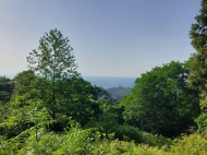 Land parcel, Ground area for sale in Sakhalvasho, Georgia. The project has a construction permit. Photo 5