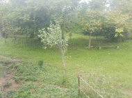 Продается дом с земельным участком в пригороде Озургети, Грузия. Фото 12