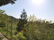 Участок в Махинджаури. Купить земельный участок с видом на море и горы в Махинджаури, Аджария, Грузия.  Фото 13