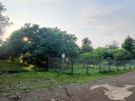 House for sale with a plot of land in the suburbs of Ozurgeti, Georgia. Photo 22