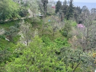 Купить частный дом с земельным участком в пригороде Батуми, Грузия. Вид на море. Фото 35