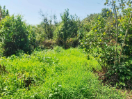 Купить частный дом с земельным участком в Натанеби, Грузия. Фото 21