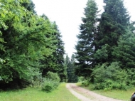 Land parcel, Ground area for sale in a resort area of Racha-Lechum, Georgia. Photo 4