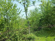 House for sale with a plot of land in the suburbs of Ozurgeti, Georgia. Orchard. Near the river. Photo 12