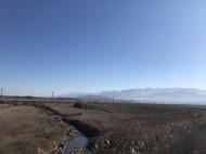 Продается участок в Натанеби. Земельный участок с видом на горы в Натанеби, Озургети, Грузия. Фото 7