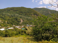 Купить дом в курортном районе Кутаиси, Грузия. У реки. Фото 3