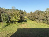 House for sale with a plot of land in the suburbs of Meria, Georgia. Near the river. Photo 10
