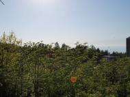 Участок в Махинджаури. Купить земельный участок с видом на море и горы в Махинджаури, Аджария, Грузия.  Фото 12
