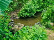 Land parcel, Ground area for sale in the suburbs of Batumi. Akhalsheni. Photo 3