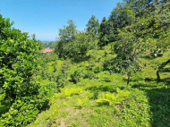 Купить частный дом в курортном районе Чакви, Грузия. Фото 23