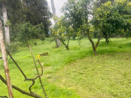 იყიდება კერძო სახლიმიწის ნაკვეთით შრომა, საქართველო. ფოტო 18